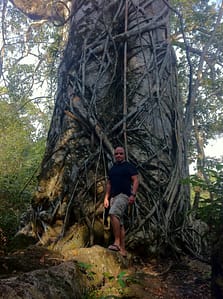Big Ass Tree